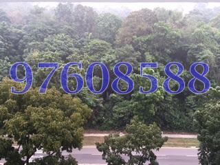 Blk 315 Bukit Batok Street 32 (Bukit Batok), HDB 5 Rooms #92609142